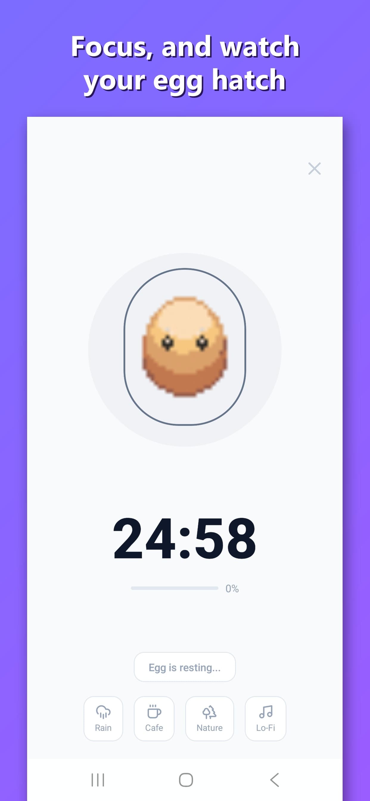 Nurrow study timer app screen showing an active focus session with timer mode and website blocking enabled